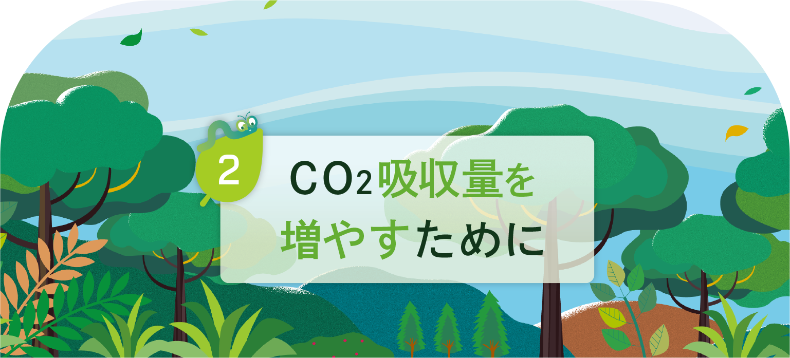 CO2吸収量を増やすために