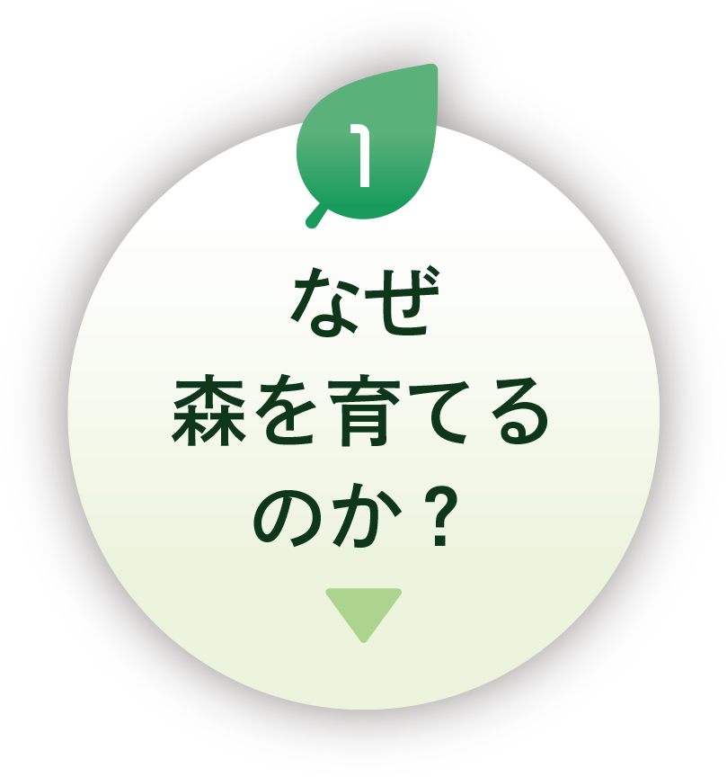 なぜ森を育てるのか？